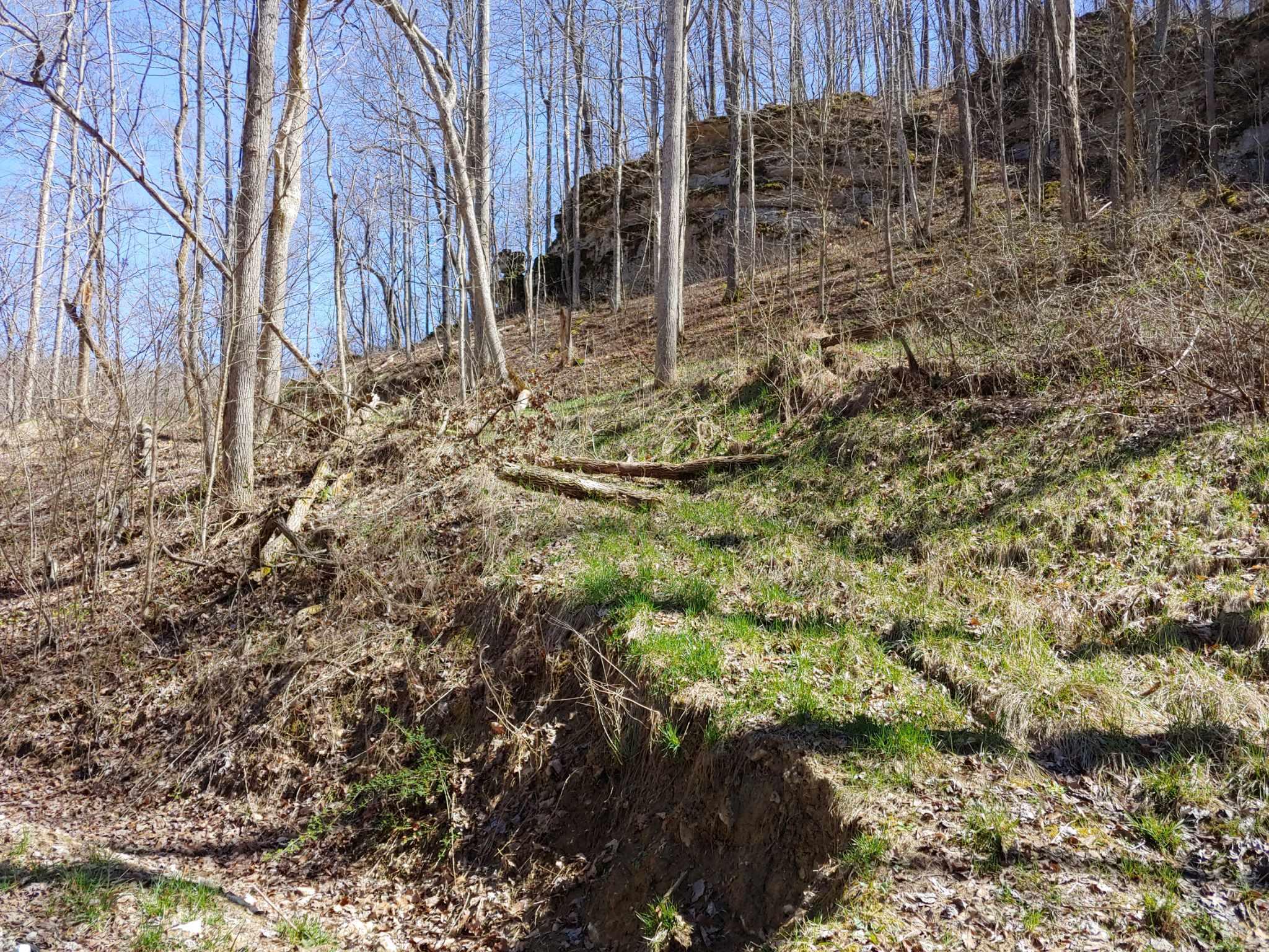 0 Birch Hollow Road, Unit 11 PHASE 2 Stanton, KY 40380 - Photo 1 of 2 lot11again