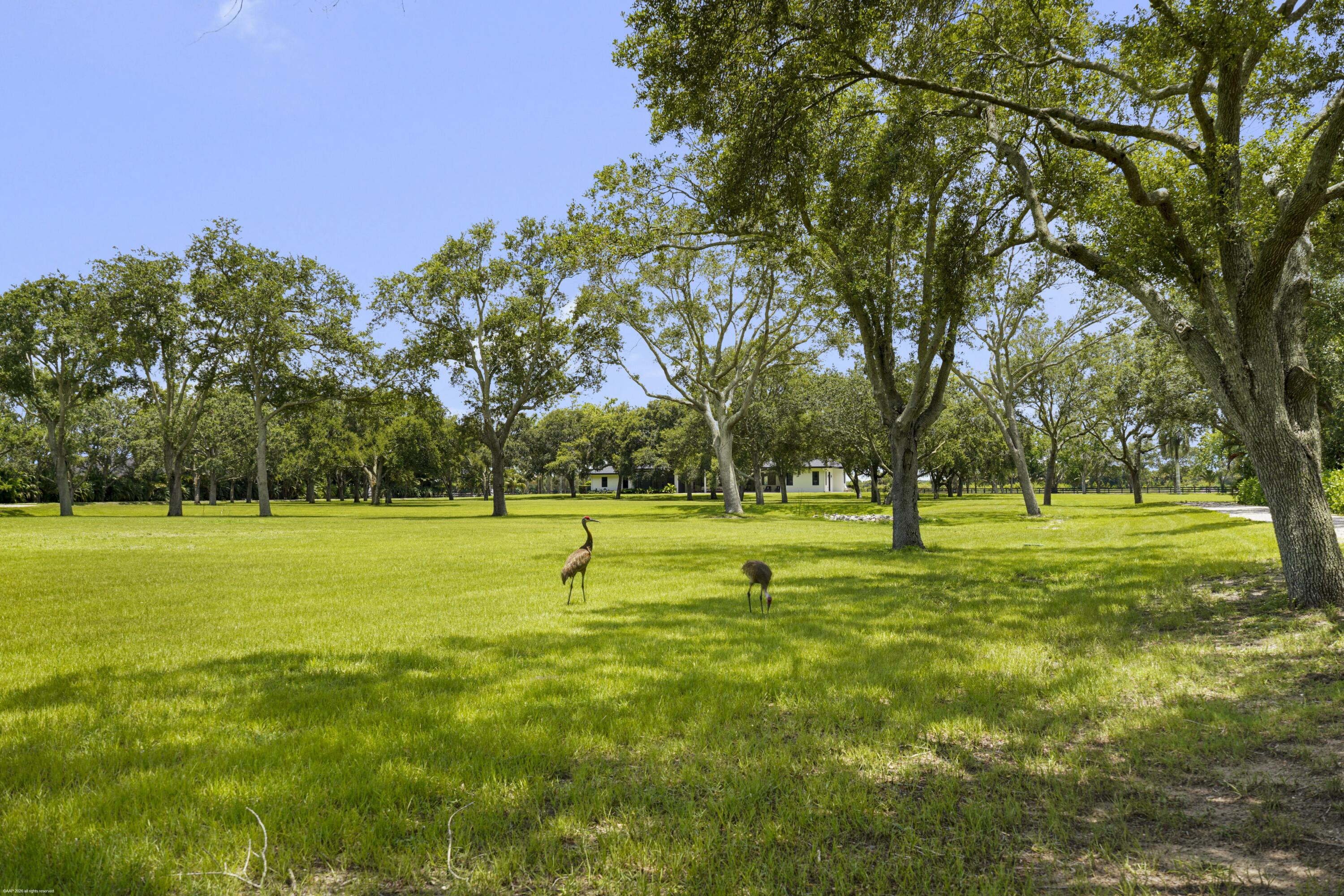16451 Norris Road Wellington, FL 33470 - Photo 64 of 91 16451 Norris Rd 083