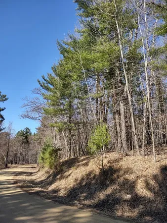 $24,900 | Lot 18-n4xx Lot 18-n4xx 297th Street, Eau Galle, WI 54737