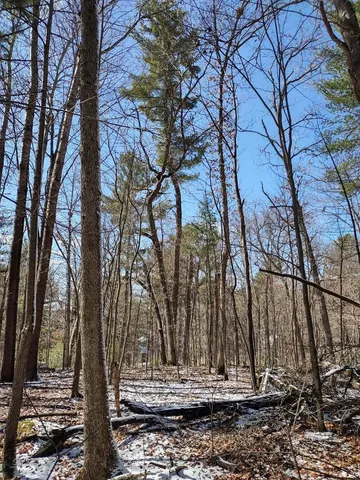 $28,500 | Lot 18-n4xx Lot 18-n4xx 297th Street, Eau Galle, WI 54737