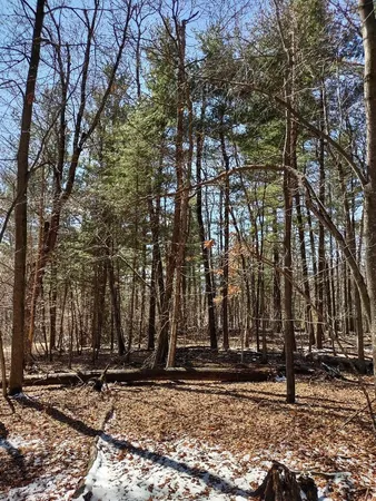 $24,900 | Lot 18-n4xx Lot 18-n4xx 297th Street, Eau Galle, WI 54737