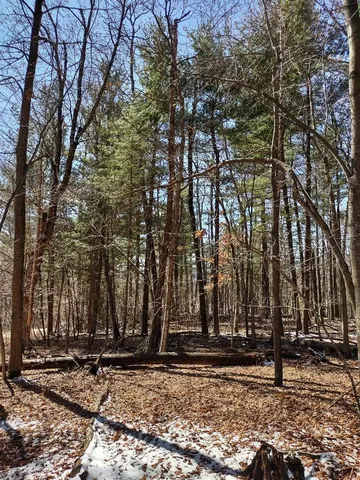 $28,500 | Lot 18-n4xx Lot 18-n4xx 297th Street, Eau Galle, WI 54737