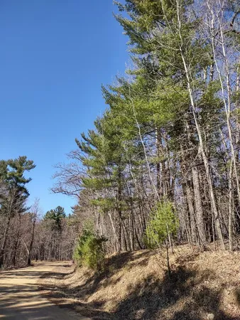 $24,900 | Lot 18-n4xx Lot 18-n4xx 297th Street, Eau Galle, WI 54737