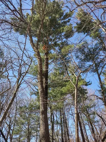 $28,500 | Lot 18-n4xx Lot 18-n4xx 297th Street, Eau Galle, WI 54737