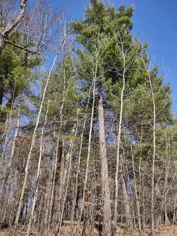 $28,500 | Lot 18-n4xx Lot 18-n4xx 297th Street, Eau Galle, WI 54737