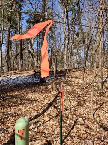 $28,500 | Lot 18-n4xx Lot 18-n4xx 297th Street, Eau Galle, WI 54737