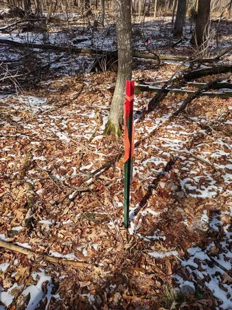 $24,900 | Lot 18-n4xx Lot 18-n4xx 297th Street, Eau Galle, WI 54737