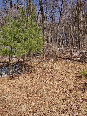 $28,500 | Lot 18-n4xx Lot 18-n4xx 297th Street, Eau Galle, WI 54737