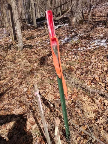 $28,500 | Lot 18-n4xx Lot 18-n4xx 297th Street, Eau Galle, WI 54737