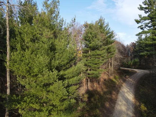 $28,500 | Lot 18-n4xx Lot 18-n4xx 297th Street, Eau Galle, WI 54737