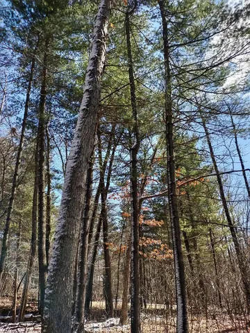 $28,500 | Lot 18-n4xx Lot 18-n4xx 297th Street, Eau Galle, WI 54737