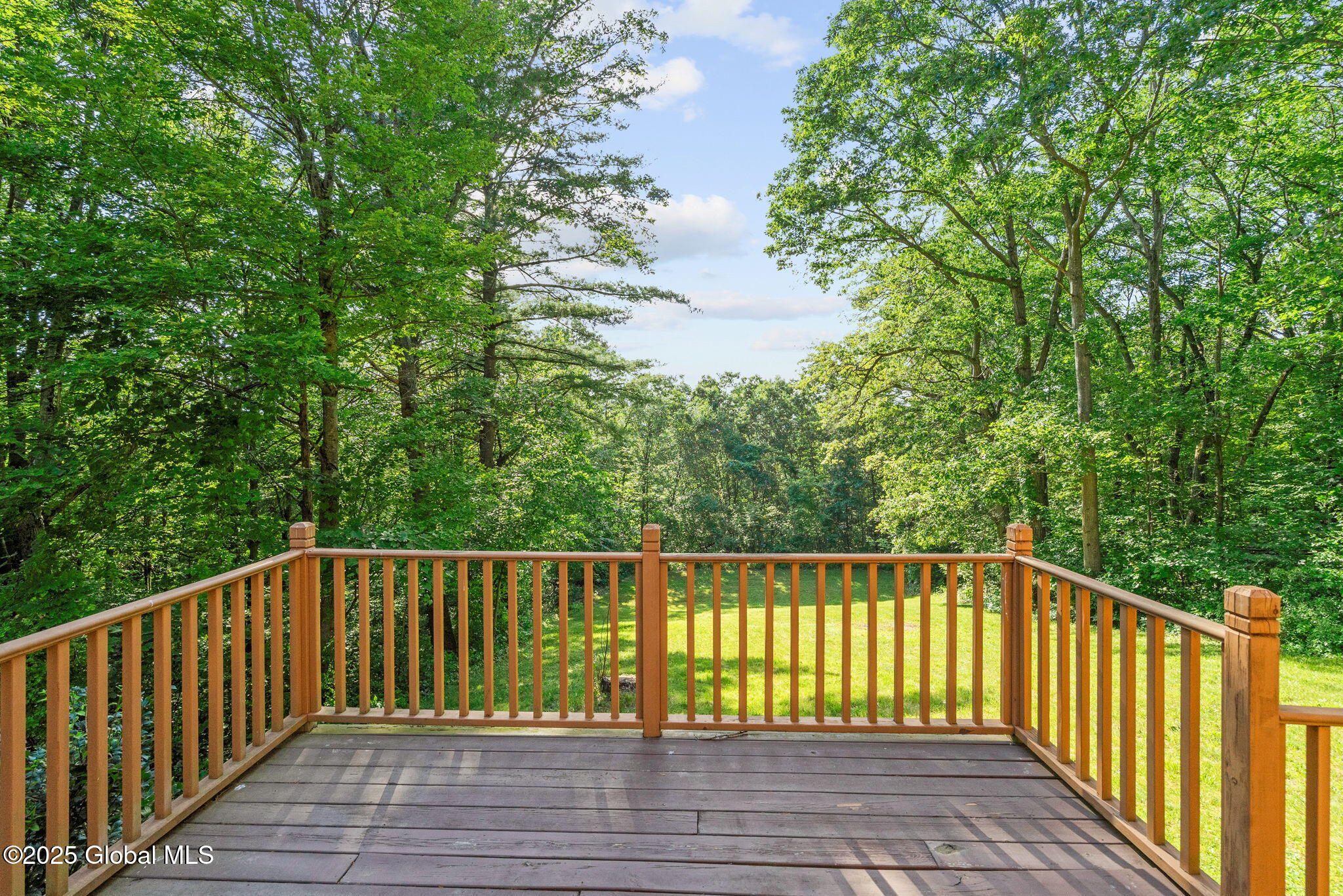 581 Rector Road Glenville, NY 12302 - Photo 57 of 71 17-web-or-mls-581-rector-rd
