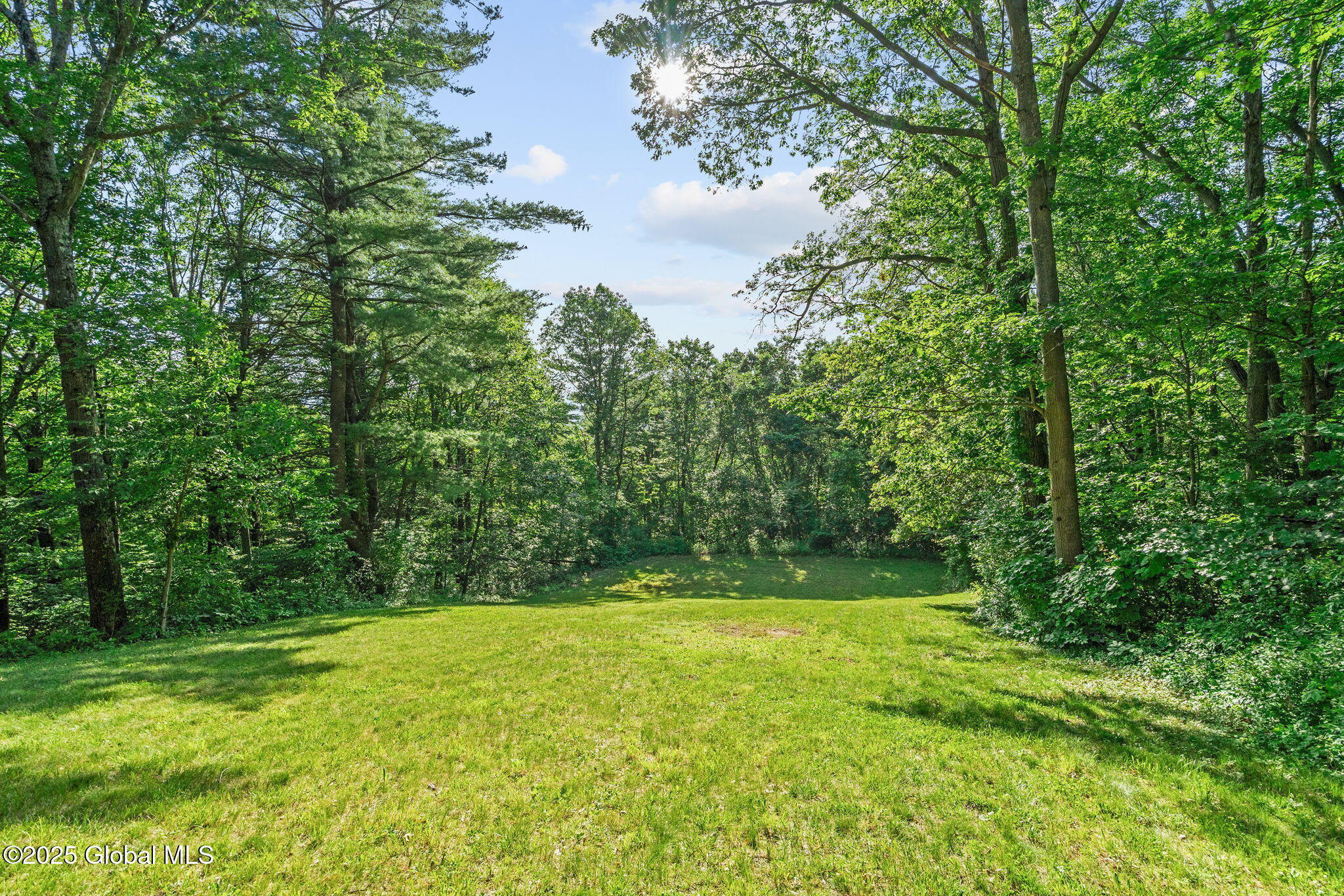 581 Rector Road Glenville, NY 12302 - Photo 65 of 71 9-web-or-mls-581-rector-rd