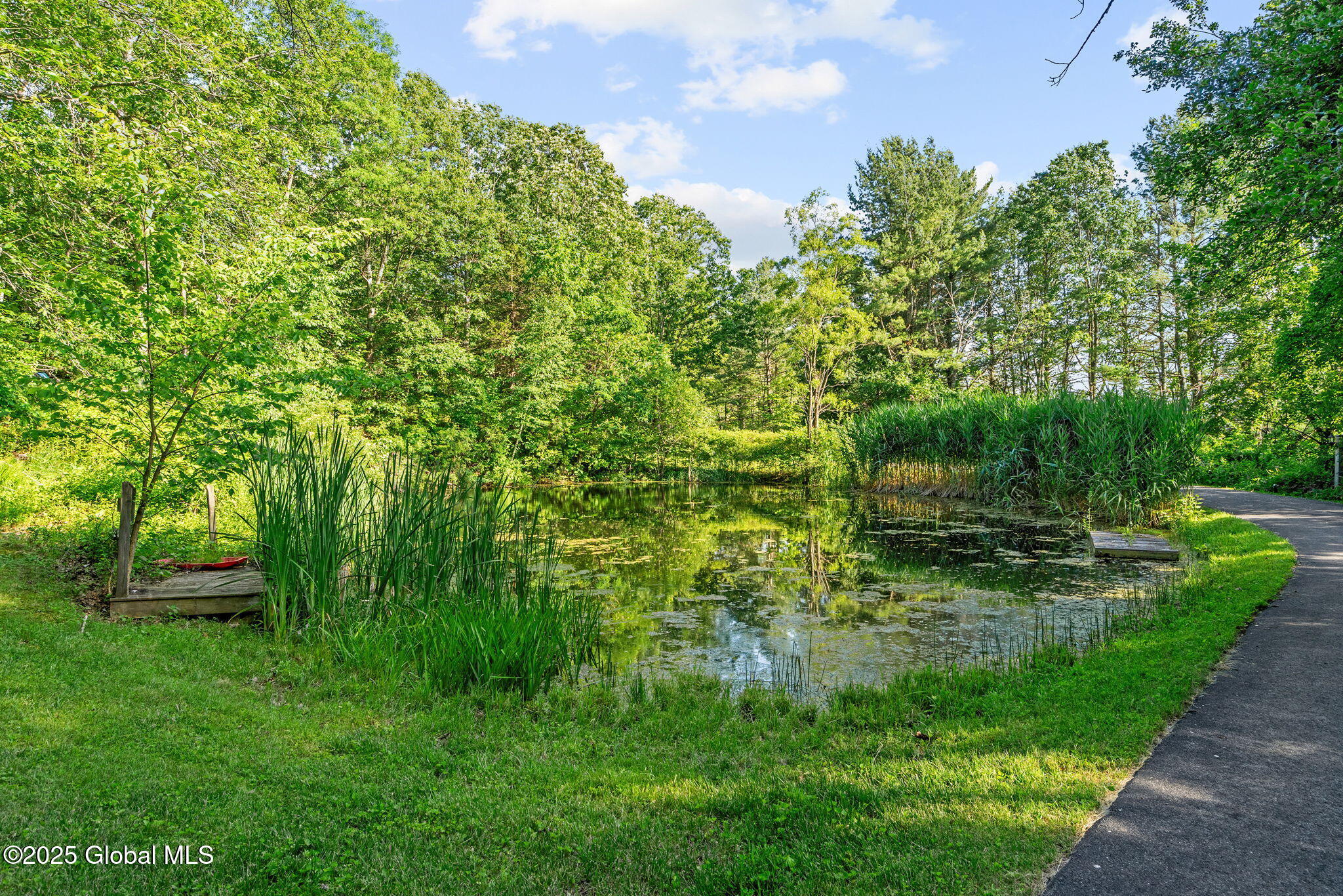 581 Rector Road Glenville, NY 12302 - Photo 66 of 71 71-web-or-mls-581-rector-rd
