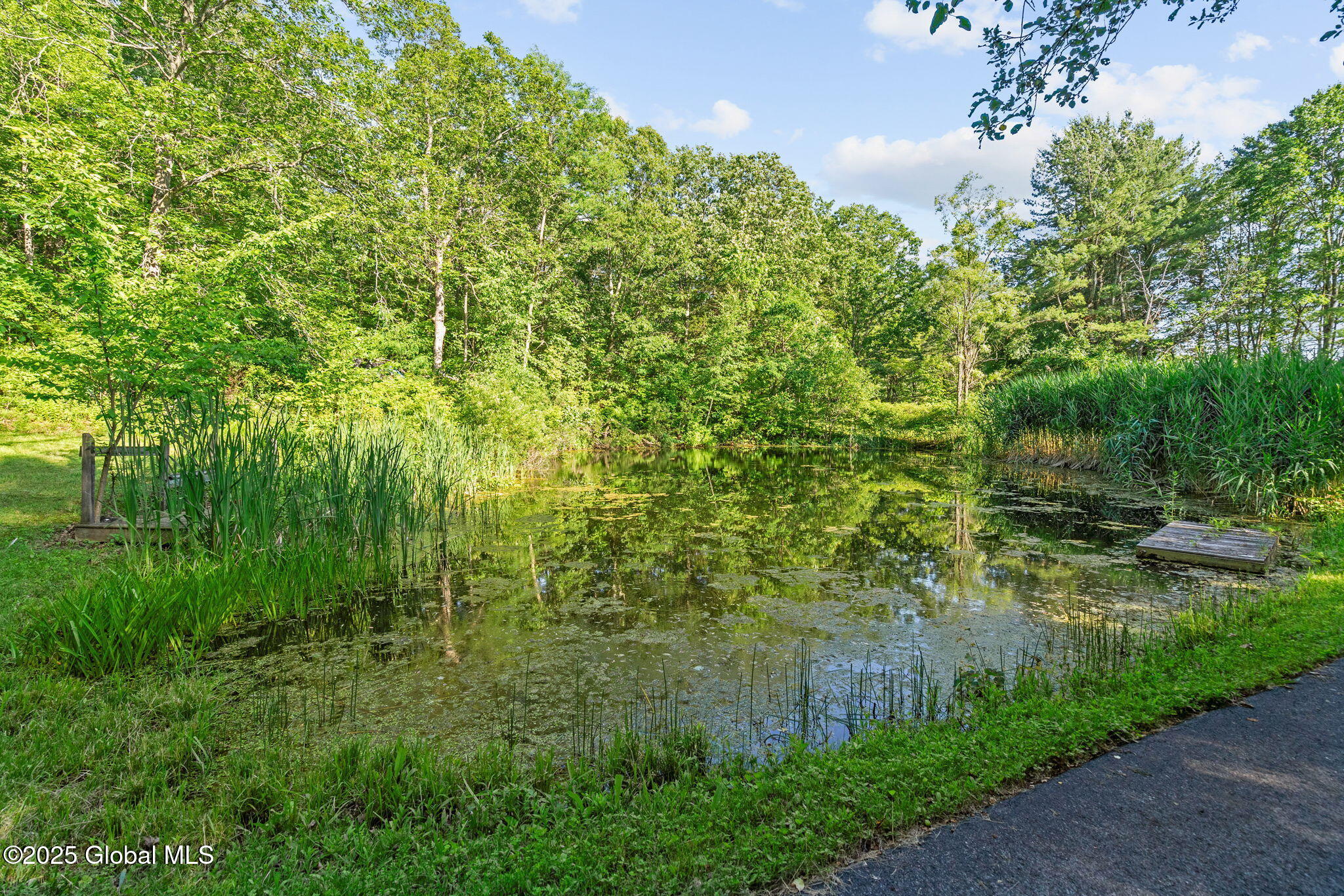 581 Rector Road Glenville, NY 12302 - Photo 67 of 71 72-web-or-mls-581-rector-rd