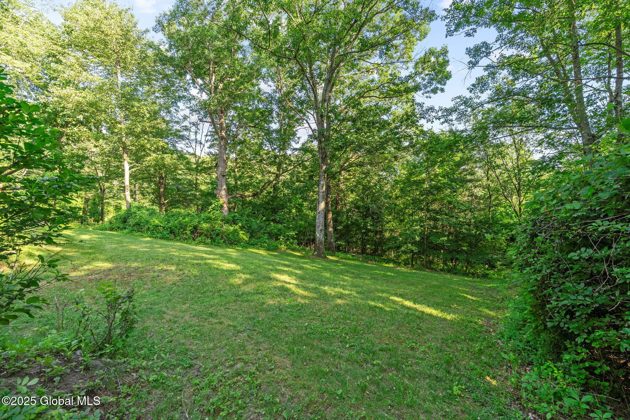 581 Rector Road Glenville, NY 12302 - Photo 68 of 71 12-web-or-mls-581-rector-rd