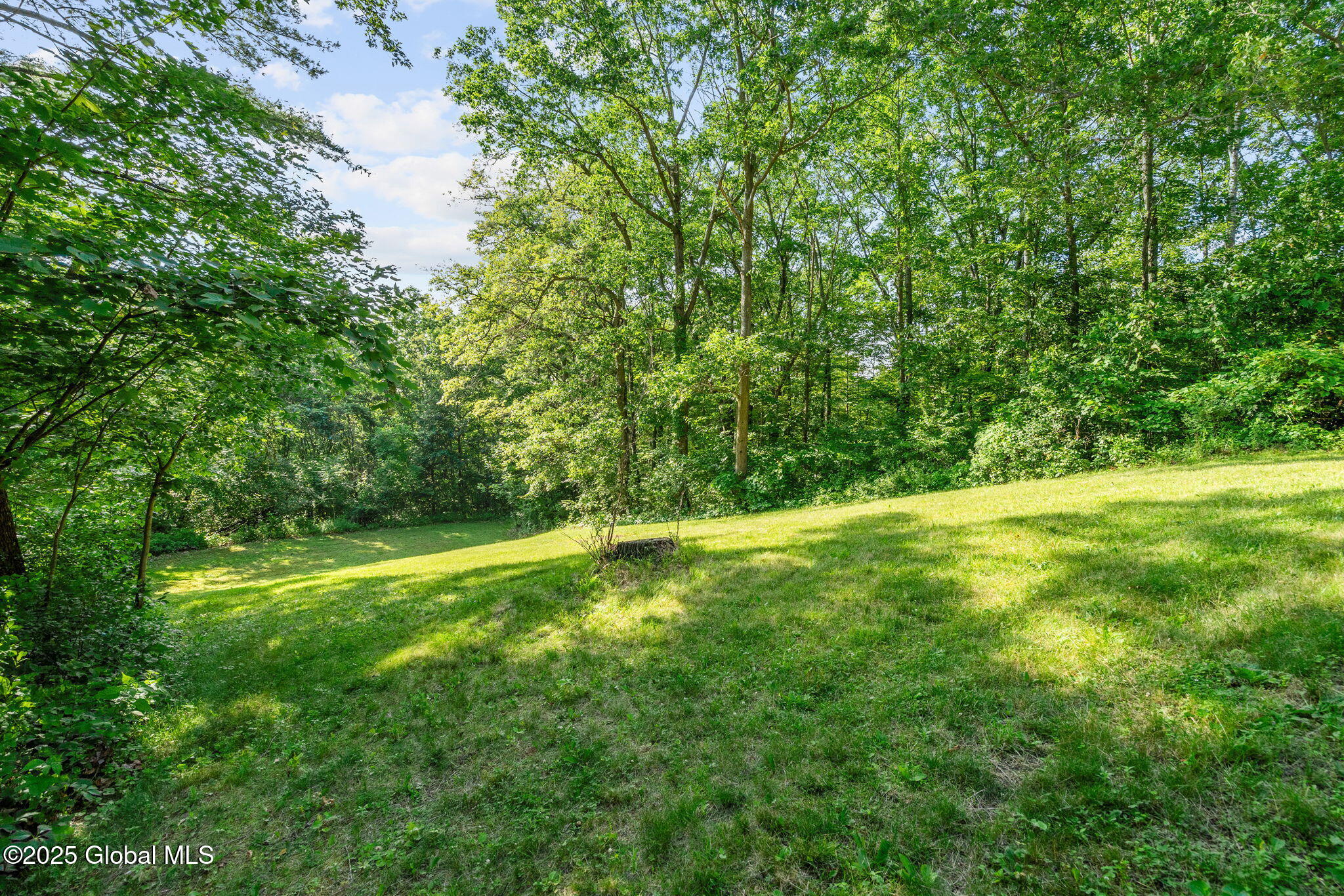 581 Rector Road Glenville, NY 12302 - Photo 69 of 71 14-web-or-mls-581-rector-rd