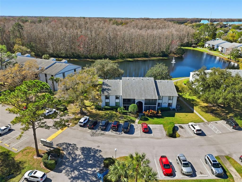 1345 Pine Ridge Circle East, Unit A2 Tarpon Springs, FL 34688 - Photo 31 of 33