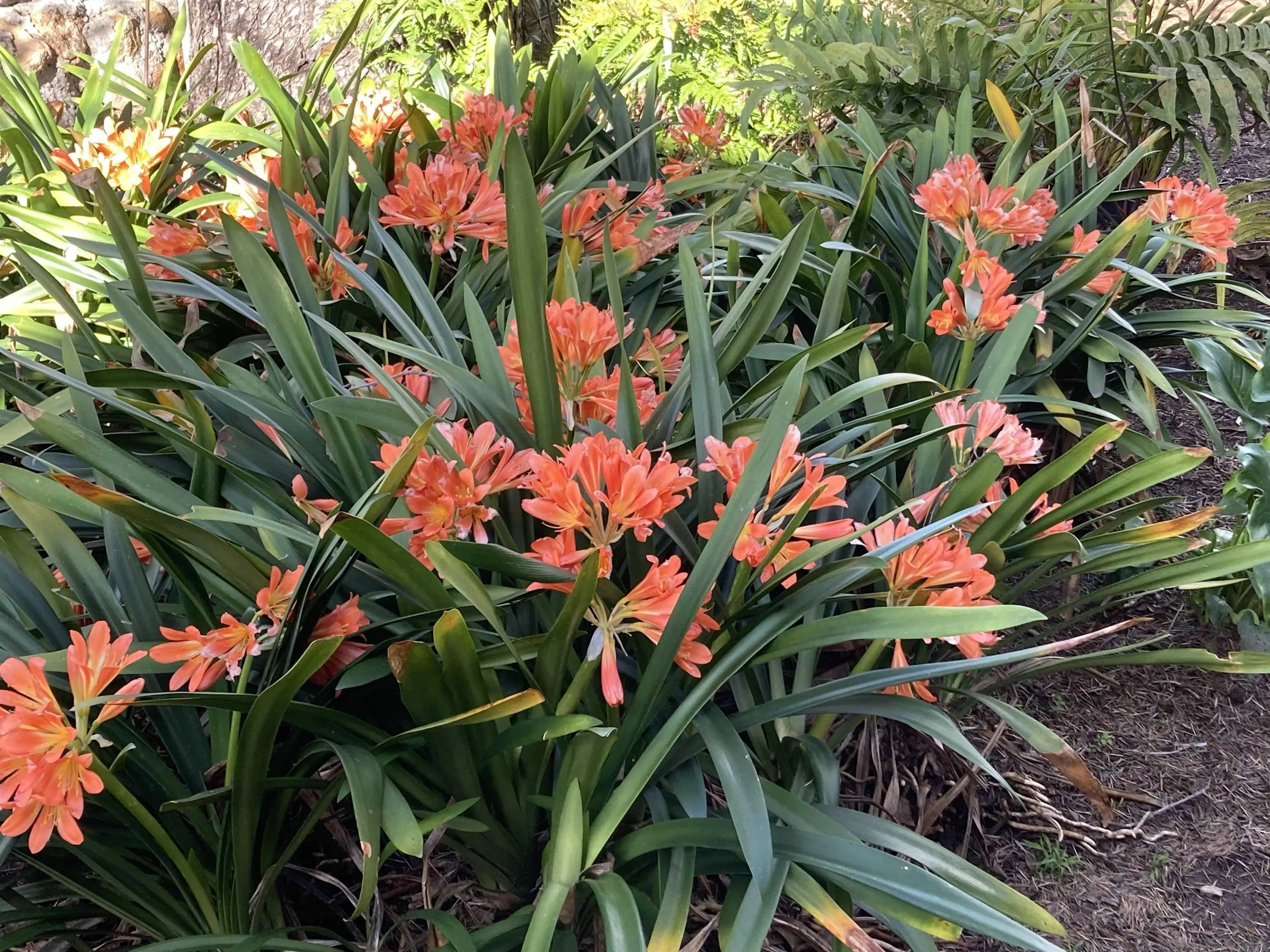 4744 Resmar Road La Mesa, CA 91941 - Photo 30 of 58