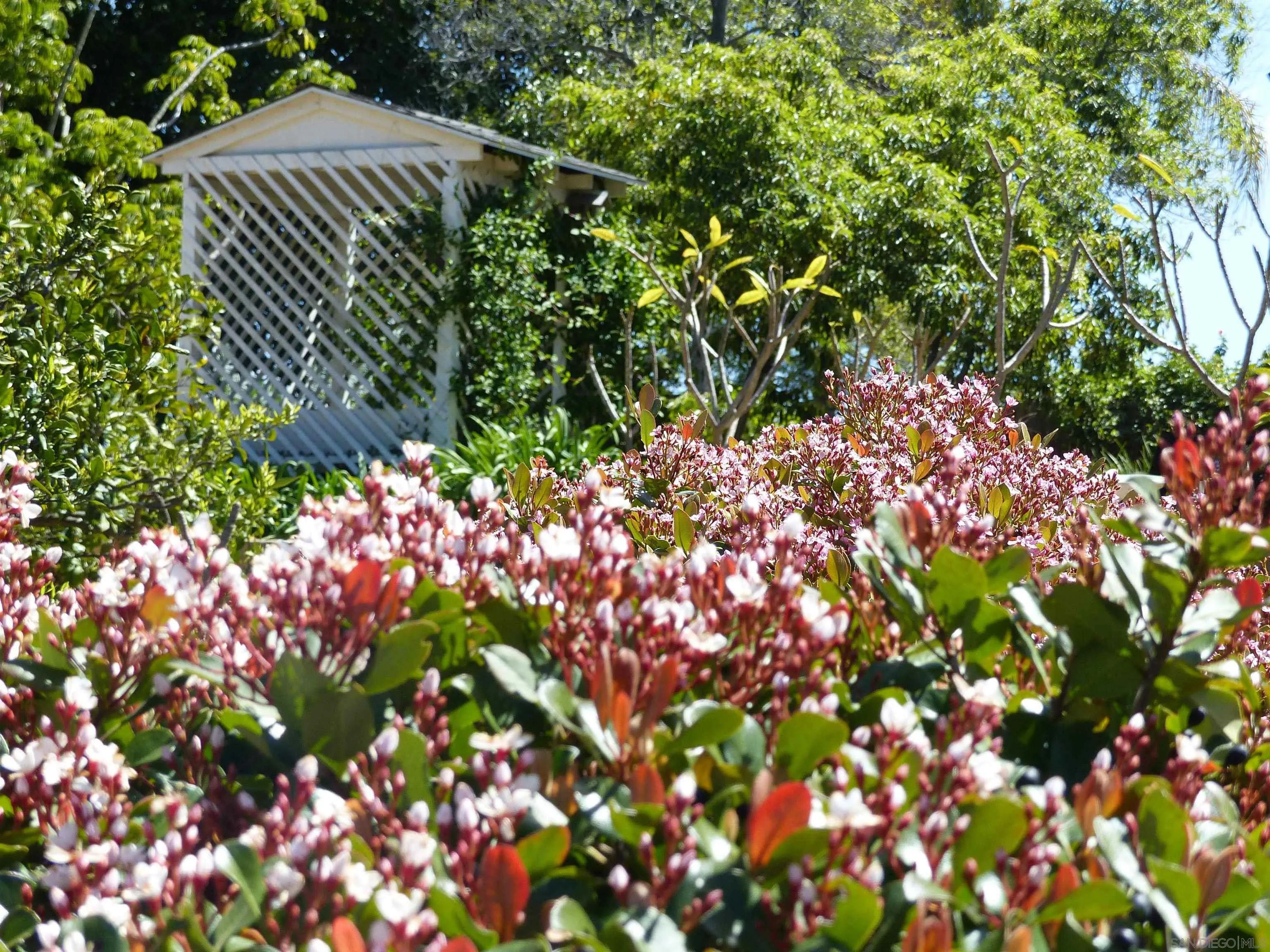 4744 Resmar Road La Mesa, CA 91941 - Photo 31 of 58 a picture of flowers