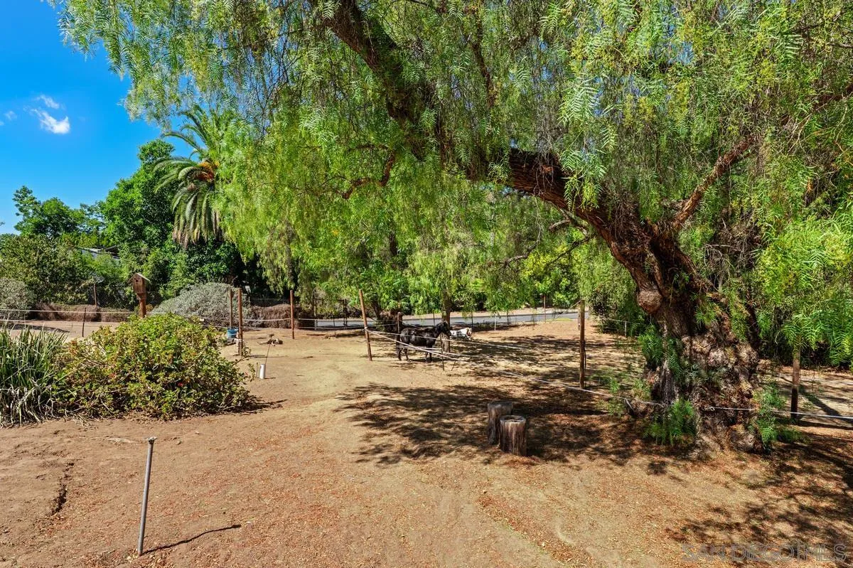 4744 Resmar Road La Mesa, CA 91941 - Photo 35 of 58 a view of a yard with wooden fence