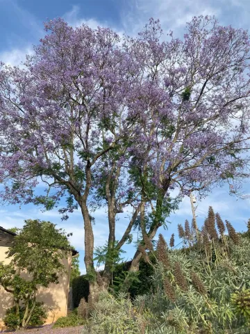 $1,435,000 | 4744 Resmar Road, La Mesa, CA 91941