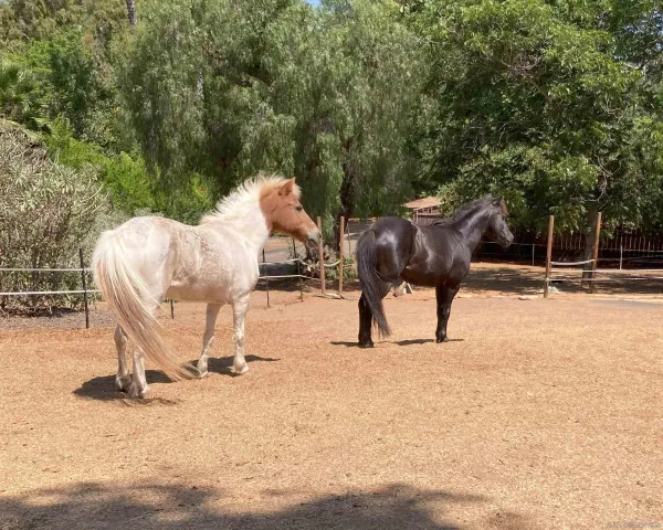 $1,435,000 | 4744 Resmar Road, La Mesa, CA 91941