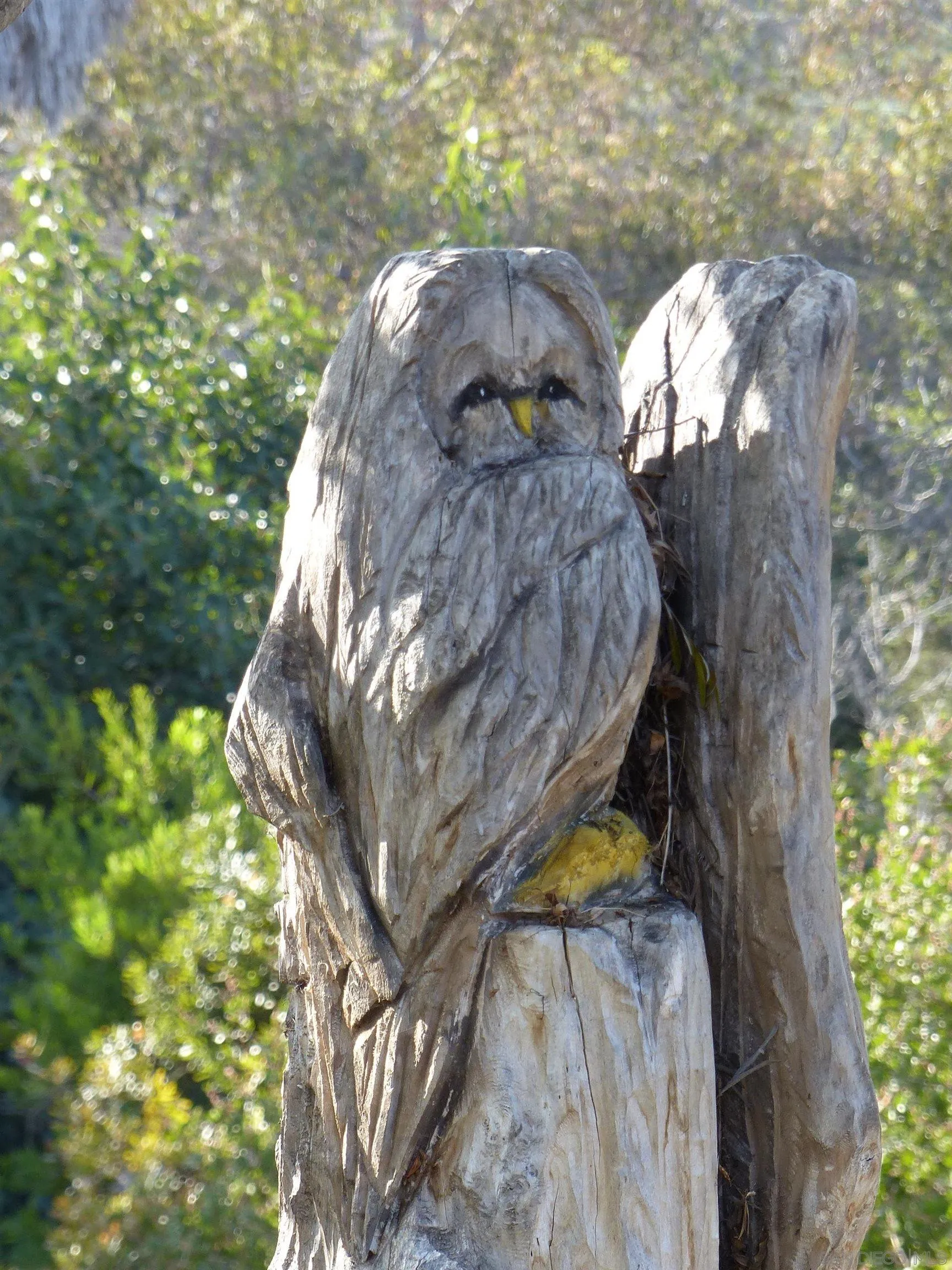 4744 Resmar Road La Mesa, CA 91941 - Photo 39 of 58 a picture of tree