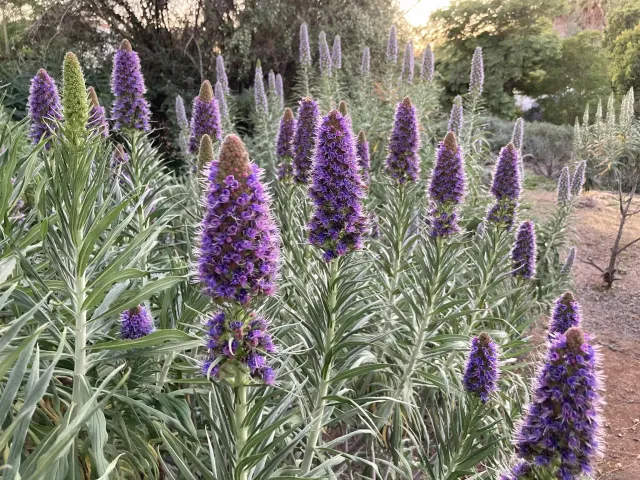 $1,435,000 | 4744 Resmar Road, La Mesa, CA 91941