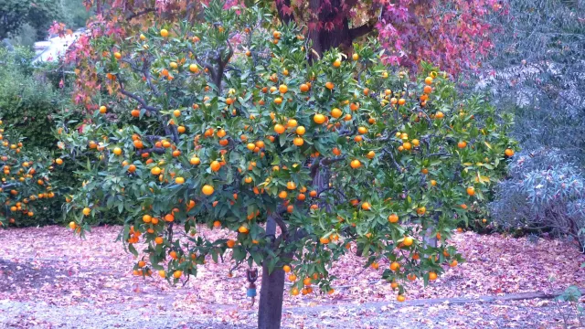 $1,435,000 | 4744 Resmar Road, La Mesa, CA 91941