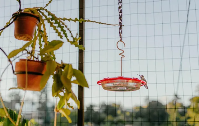 $1,435,000 | 4744 Resmar Road, La Mesa, CA 91941