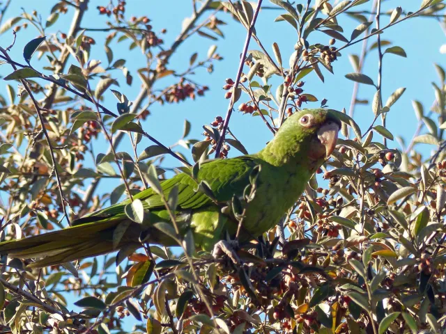 $1,435,000 | 4744 Resmar Road, La Mesa, CA 91941