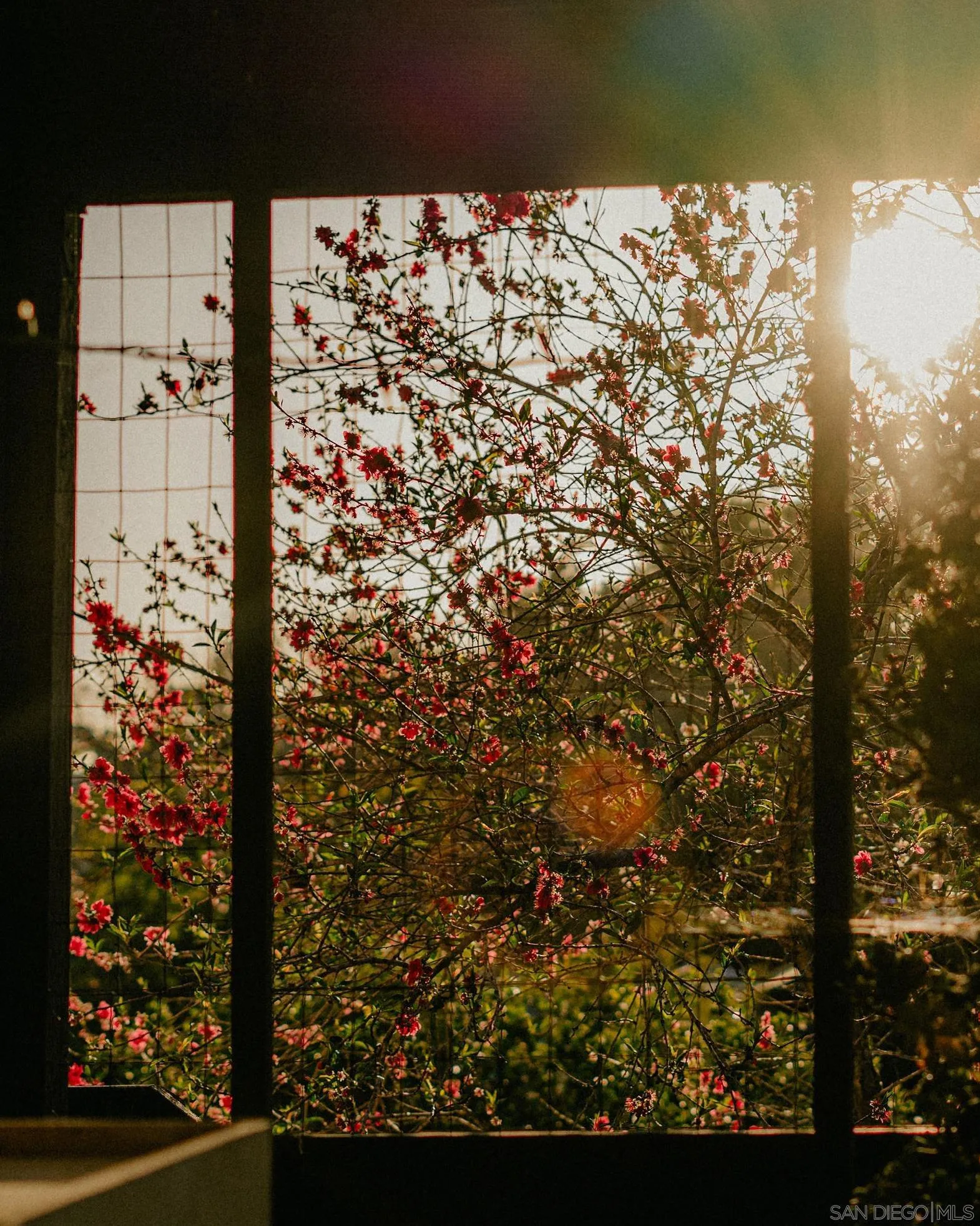 4744 Resmar Road La Mesa, CA 91941 - Photo 53 of 58