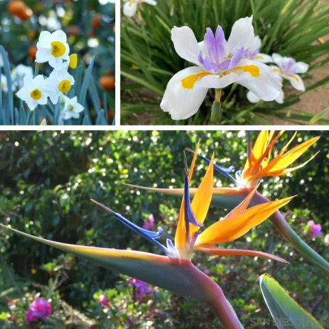 $1,435,000 | 4744 Resmar Road, La Mesa, CA 91941