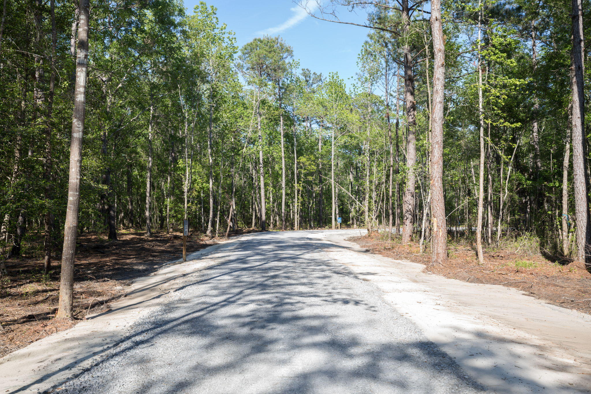Lot 5 White Road Awendaw, SC 29429 - Photo 3 of 17 White+Rd+Awendaw-0-web