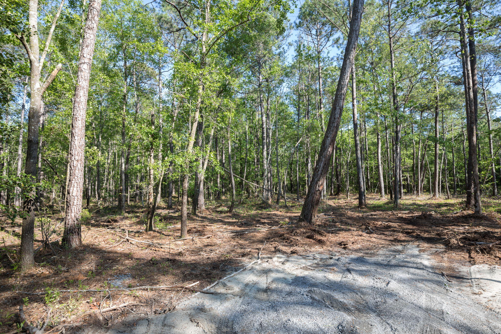 Lot 5 White Road Awendaw, SC 29429 - Photo 7 of 17 White+Rd+Awendaw-6-web