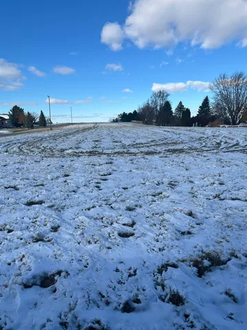 a view of a dry field with trees in background