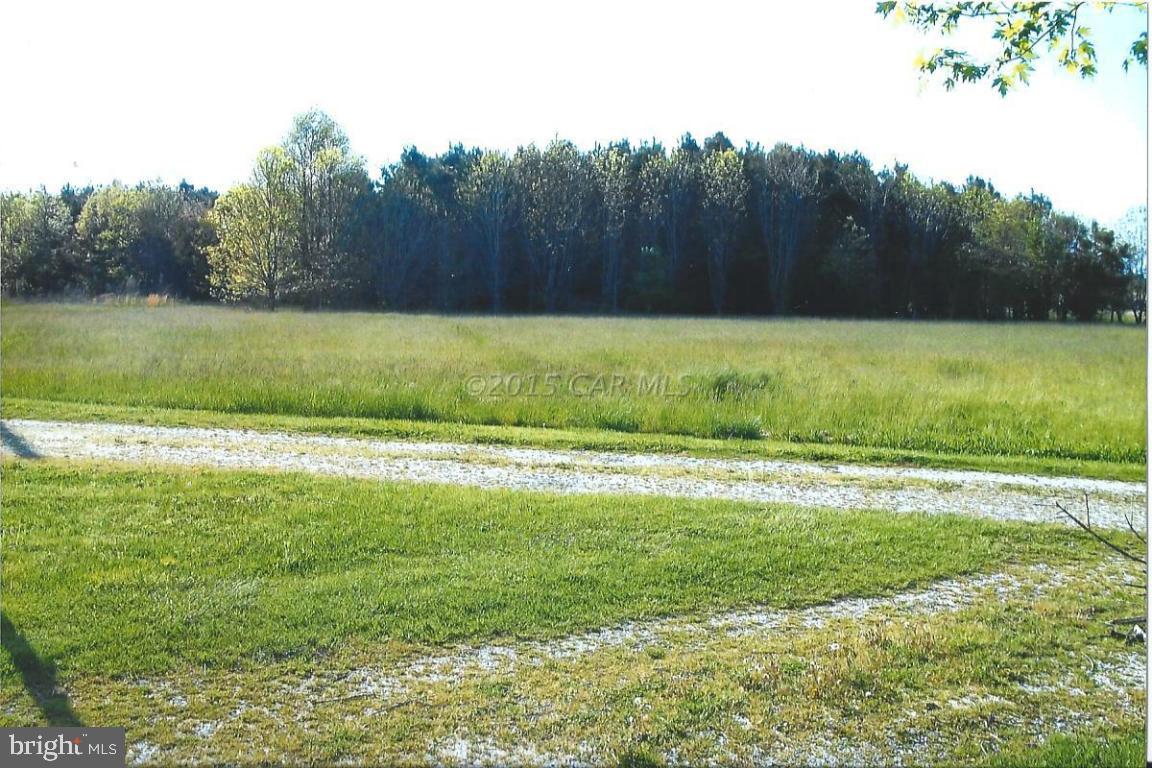 4350 Stockton Road Pocomoke City, MD 21851 - Photo 7 of 15 Gallery Image 7