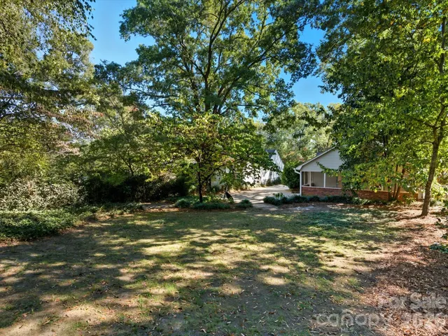 a view of a tree in the middle of a yard
