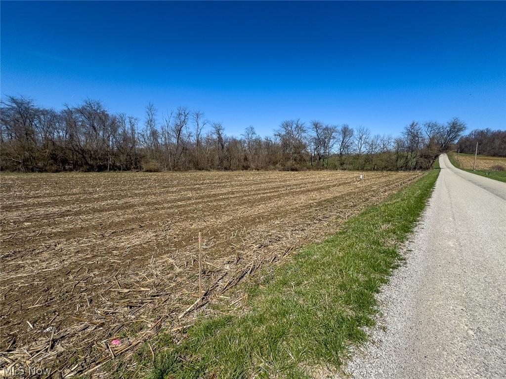 0 Lonesome Road Thornville, OH 43076 - Photo 5 of 31
