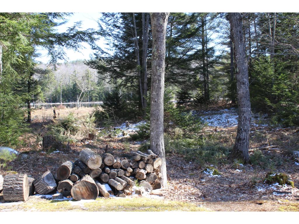 1628 East Madison Road Madison, NH 03849 - Photo 7 of 14 Gallery Image 7