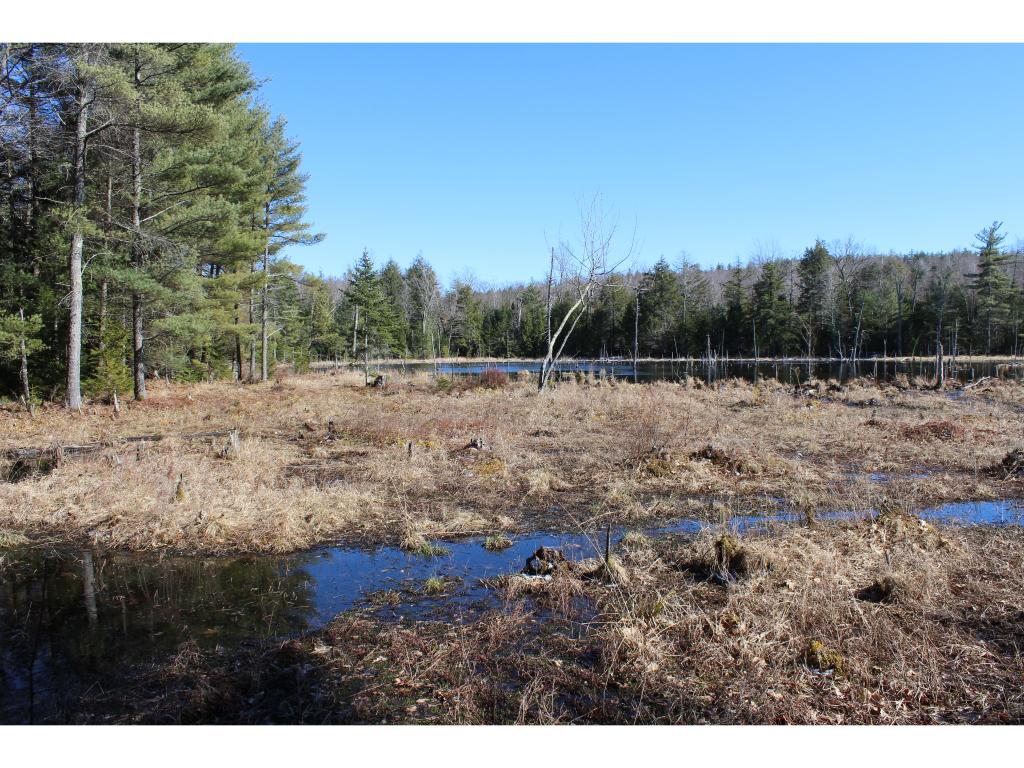 1628 East Madison Road Madison, NH 03849 - Photo 8 of 14 Gallery Image 8