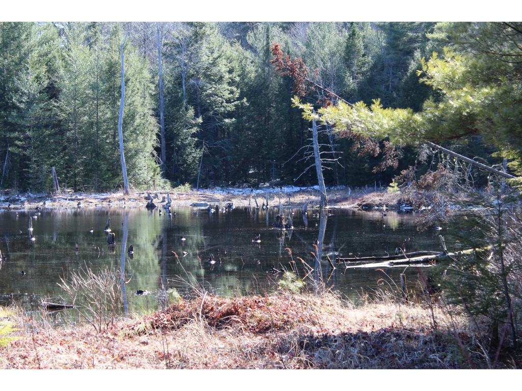 1628 East Madison Road Madison, NH 03849 - Photo 10 of 14 Gallery Image 10