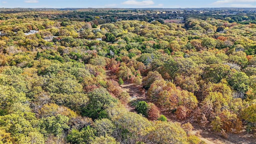 Lot 3 Locust Road Pottsboro, TX 75076 - Photo 15 of 21