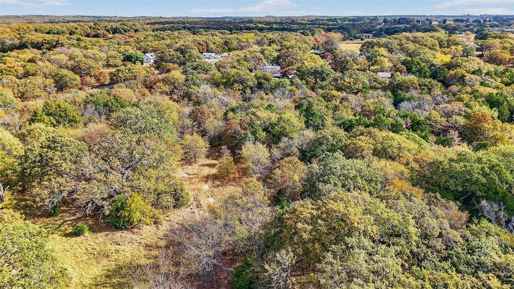 Lot 3 Locust Road Pottsboro, TX 75076 - Photo 16 of 21 a view of a yard with wooden floor
