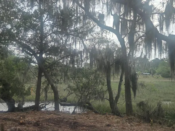 $349,000 | Lot 5 Hwy 165 Highway, Meggett, SC 29449