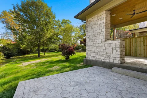 a view of a yard with plants and large trees