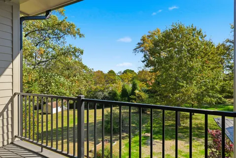 a view of a balcony with a plant