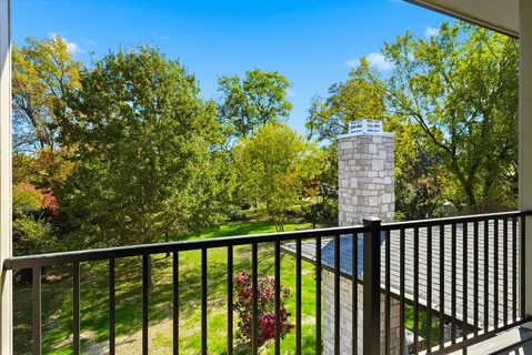 a view of a balcony with a plant