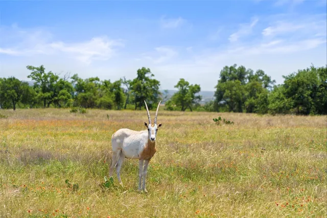 a living room with furniture fireplace and window